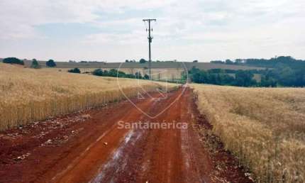 Terreno comercial para alugar na Rua Tres, --, Património Regina, Londrina
