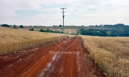 Terreno comercial para alugar na Rua Três, --, Património Regina, Londrina