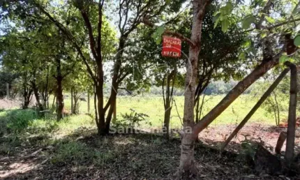 Terreno comercial para alugar na Avenida Das Maritacas, Terreno, --, Ideal, Londrina