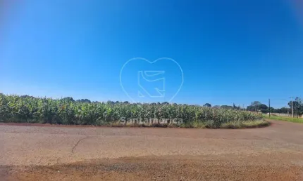 Terreno à Venda em Cambé - 23.000m² para Construção ou Investimento