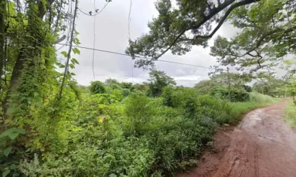 Terreno à venda com 4.100m² na Gleba Lindóia, região Leste de Londrina
