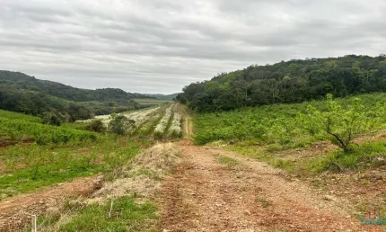 Terreno à venda na Ana Rech, Caxias do Sul  por R$ 550.000