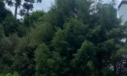 Terreno à venda na Rua Pedro Pezzi, 645, Panazzolo, Caxias do Sul por R$ 550.000
