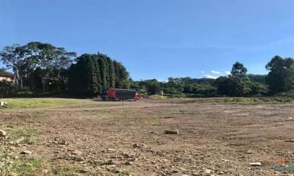 Terreno comercial para alugar na Estrada do Imigrante, 208, Nossa Senhora das Graças, Caxias do Sul