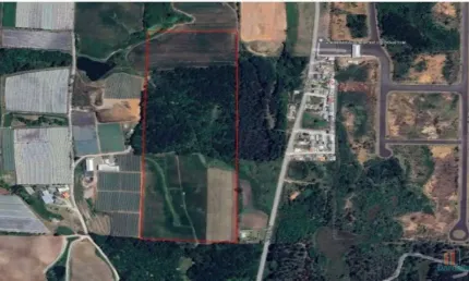 Terreno à venda na Rodovia RSC-122, Forqueta, Caxias do Sul por R$ 7.500.000