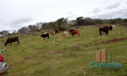 Chácara / sítio à venda no Santa Lúcia do Piaí, Caxias do Sul  por R$ 1.200.000