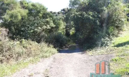 Terreno à venda no Brandalise, Caxias do Sul  por R$ 2.900.000