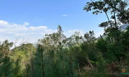 Chácara / sítio à venda na Zona Rural, Caxias do Sul  por R$ 540.000