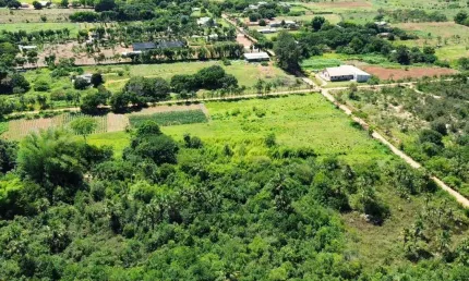 Chácara / sítio com 3 quartos à venda no Setor de Habitações Individuais Norte, Brasília 