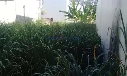 Terreno à venda na Avenida Cláudio Celestino Toledo Soares, s/n°, Jardim Paraíso, Campinas por R$ 352.000