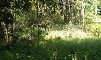 Terreno comercial à venda na rua theodosio rodriguez otero, s/n°, joaquim egídio, campinas por r$ 530.000