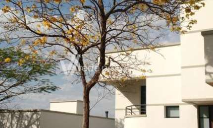 Casa em condomínio fechado com 4 quartos à venda na Avenida Professor Adelar Mates, 172, Loteamento Residencial Barão do Café, Campinas, 451 m2 por R$ 4.300.000