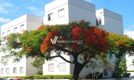 Apartamento com 2 quartos à venda na rua maestro diogo hugo bratficher, 70, jardim miranda, campinas, 55 m2 por r$ 235.000