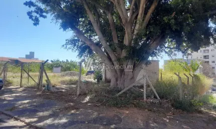 Terreno comercial para alugar na Rua Dom Lino Deodato Rodrigues de Carvalho, s/n°, Jardim Primavera, Campinas por R$ 4.500