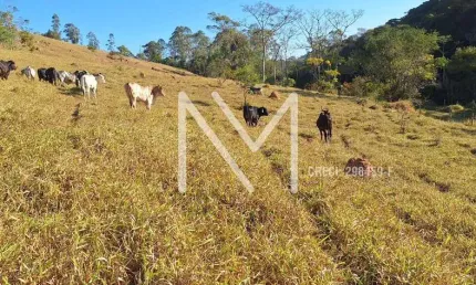 Área rural à venda 4,5 alqueires - 111.787m² - jambeiro - sp