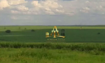 Fazenda para Venda na Região de Presidente Prudente - SP - Confira!!!!