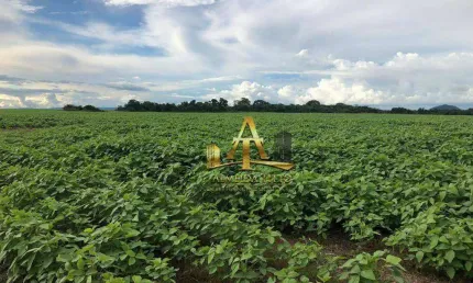 Fazenda para Venda na Região de Maracajú / Guia Lopes - MS - Confira!!!!