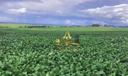 Fazenda para venda na região de chapadão do céu - go - oportunidade !!!!.