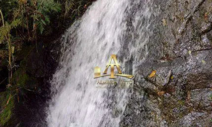 Chácara / sítio à venda na Sp-249, Jardim Brasilia, Apiaí