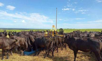 Fazenda com 1 sala à venda na Rua Antônio Maria Coelho, 13000, Centro, Bela Vista
