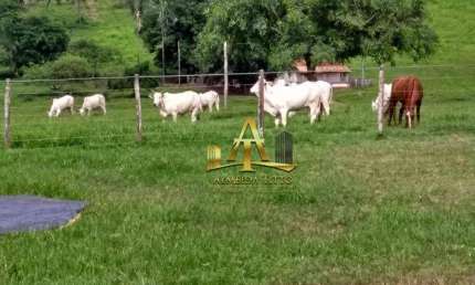 Fazenda à Venda para Cria e Recria - Pedra Preta - MT