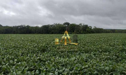 Fazenda com 1 sala à venda na Estrada Estadual Mt 338, 7817, Zona Rural, Paranatinga