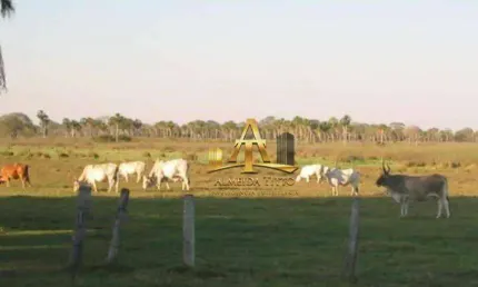 Fazenda com 1 sala à venda na Rodovia Br-070, 62000, Zona Rural, Cáceres