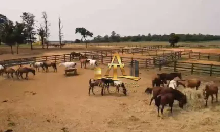 Fazenda com 3 salas à venda na Rua Aníbal Lencione, 42, Residencial Astória, Tatuí
