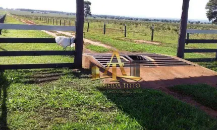 Fazenda com 1 sala à venda na Rua Rui Barbosa, 800, Zona Rural, Campo Grande