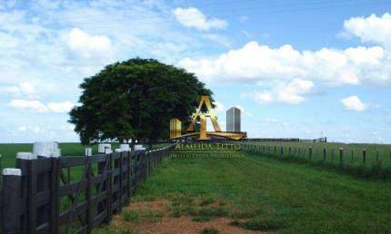 Fazenda com 1 sala à venda na Área Rural, 2044, Área Rural de Marília, Marília