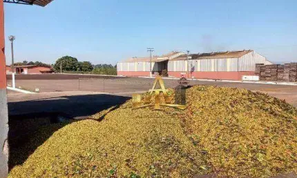 Fazenda à venda na Estrada ÁRea Rural, 1333, Zona Rural, Piumhi