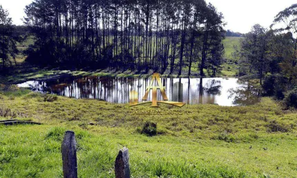 Terreno à venda, 200 m² por R$ 172.000,00 - Dos Pereiras - Cotia/SP
