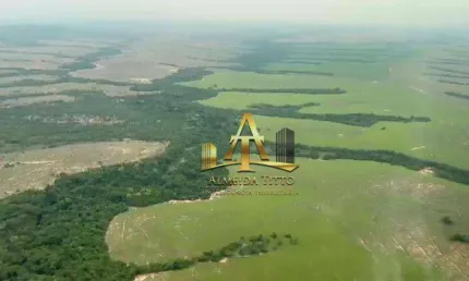 Fazenda com 1 sala à venda na Estrada Estadual Mt 020,, 20700, Zona Rural, Paranatinga