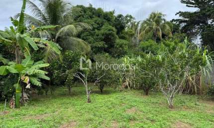 Chácara / sítio com 3 quartos à venda no Ernesto Machado, São Fidélis , 100 m2 por R$ 350.000