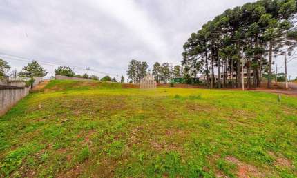 Terreno em condomínio estruturado com área de preservação.