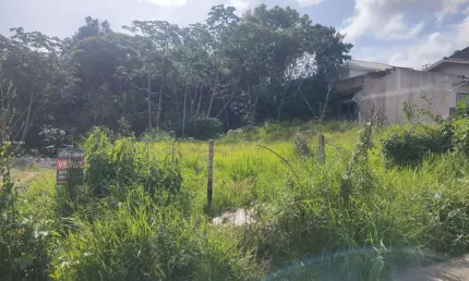 Terreno à venda na Rua Saudeli Duarte, Bela Vista, Palhoça