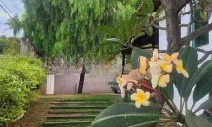 Casa com 3 quartos à venda no Trevo, Belo Horizonte 