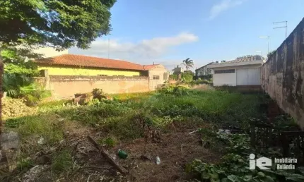 Terreno Residencial à venda, Centro, Rolândia - TE0010.