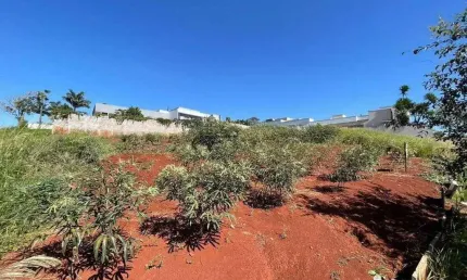Terreno à venda, 548 m² por R$ 180.000,00 - Jardim Vale Verde - Rolândia/PR
