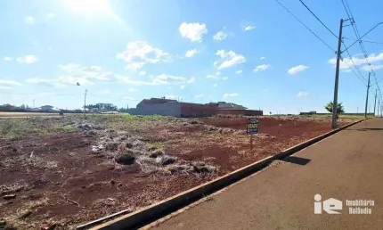 Terreno à venda, 300 m² por R$ 130.000,00 - Residencial Terra Nova - Rolândia/PR