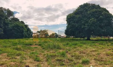 Terreno à venda, 6050 m² por R$ 2.630.000,00 - Jardim Santa Terezinha - Rolândia/PR