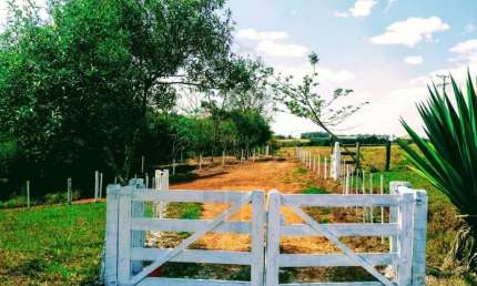 Sítio / Chácara para Venda em Torrinha, Torrinha, 3 dormitórios, 3 banheiros