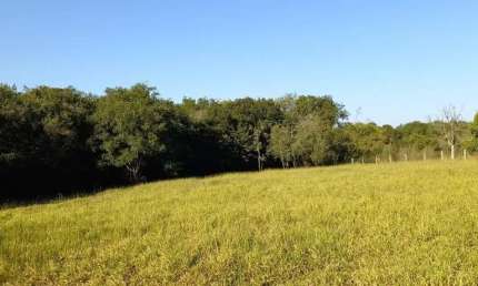 Terreno para Venda em São Pedro, CHÁCARAS SÃO BENEDITO