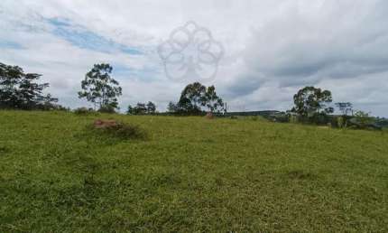 Terreno à venda na Floresta Escura, São Pedro 