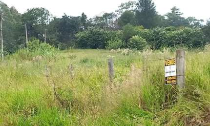 Terreno à venda na Floresta Escura, São Pedro 