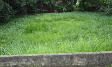 Terreno para Venda em São Pedro, CENTRO DE SAO PEDRO