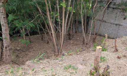 Terreno para Venda em Águas de São Pedro, Porangaba