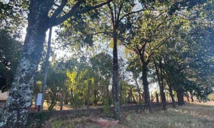 Fazenda à venda no Panorama Parque, Bauru 