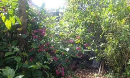 Casa à venda - ótima localização para ponto comercial