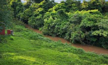 Fazenda à venda no Guaianás, Pederneiras , 37000 m2 por R$ 2.900.000